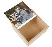 Boite Coffret en Bois - Fabulous - Couple de Lemuriens Madagascar (11 x 11 x 3,5 cm) Multicolore G