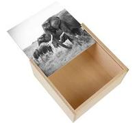 Boite Coffret en Bois - Fabulous - Éléphant et Éléphanteau dans la Brousse (11 x 11 x 3,5 cm) Multicolore G