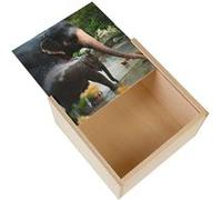 Boite Coffret en Bois - Fabulous - Elephante d'Asie et son Petit a l'Heure du Bain (11 x 11 x 3,5 cm) Multicolore G