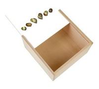 Boite Coffret en Bois - Fabulous - Ensemble d'escargots minimaliste (11 x 11 x 3,5 cm) Multicolore G