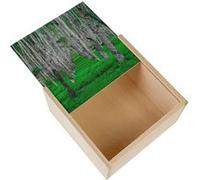 Boite Coffret en Bois - Fabulous - Foret d Erable Parterre de Fougères (11 x 11 x 3,5 cm) Multicolore G