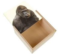 Boite Coffret en Bois - Fabulous - Gorille Photo Animal (11 x 11 x 3,5 cm) Multicolore G