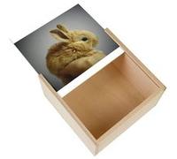 Boite Coffret en Bois - Fabulous - Lapin Nain Trop Mignon Poilu Beige (11 x 11 x 3,5 cm) Multicolore G