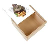 Boite Coffret en Bois - Fabulous - Madame Lapin (11 x 11 x 3,5 cm) Multicolore G