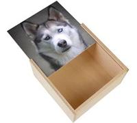 Boite Coffret en Bois - Fabulous - Magnifique Husky Gros Chien Poil Long (11 x 11 x 3,5 cm) Multicolore G
