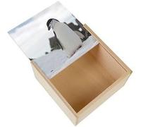 Boite Coffret en Bois - Fabulous - Manchot a Jugulaire Sur la Neige (11 x 11 x 3,5 cm) Multicolore