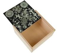 Boite Coffret en Bois - Fabulous - Planche de Lichen Biologie (11 x 11 x 3,5 cm) Multicolore