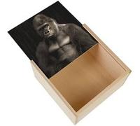 Boite Coffret en Bois - Fabulous - Portrait de Gorille Style Classe (11 x 11 x 3,5 cm) Multicolore G