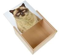Boite Coffret en Bois - Fabulous - Portrait Magnifique Chat Siamois Persan (11 x 11 x 3,5 cm) Multicolore G