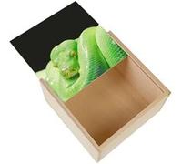 Boite Coffret en Bois - Fabulous - Python Vert Reptile (11 x 11 x 3,5 cm) Vert