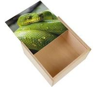 Boite Coffret en Bois - Fabulous - Python Vert Sublime Serpent (11 x 11 x 3,5 cm) Vert