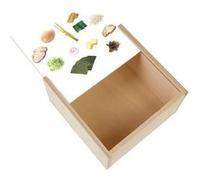 Boite Coffret en Bois - Fabulous - Ramen Toppings Nourriture (11 x 11 x 3,5 cm) Multicolore G