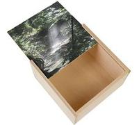 Boite Coffret en Bois - Fabulous - Riviere de Sous Bois Rayon de Soleil (11 x 11 x 3,5 cm) Multicolore G
