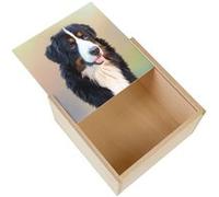 Boite Coffret en Bois - Fabulous - Saint Bernard Gros Chien Poil Long (11 x 11 x 3,5 cm) Multicolore G
