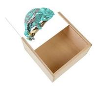 Boite Coffret en Bois - Fabulous - Sakura Chameleon (11 x 11 x 3,5 cm) Multicolore