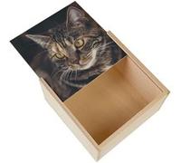 Boite Coffret en Bois - Fabulous - Sublime Chat Tigre Grands Yeux Jaunes (11 x 11 x 3,5 cm) Multicolore G