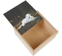 Boite Coffret en Bois - Fabulous - Terre-Neuve Blanc Couché dans la Forêt (11 x 11 x 3,5 cm) Multicolore G