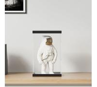 vidaXL Vitrine acrylique transparente 22x18x35 cm – Boîte d'exposition pour jouets et bijoux
