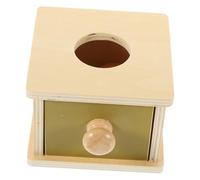 Boîte D’apprentissage à Boule Ronde en Bois pour Garçon et Filles Dès 3 Ans | 1 Set, Activité Éducative de Tri, Développe Reconnaissance des Couleurs, Motricité Fine et Éveil