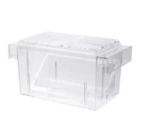 Boîte D’élevage Transparente en Acrylique Ventouses et Cloisons | Observation Facile, Grille de Séparation des Œufs, pour Aquarium et Bac de Quarantaine