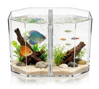 Boîte D’isolement à Deux Compartiments en Acrylique pour Poissons | Haute Transparence, Surface Lisse sans Bavure, pour Aquarium, Observation Facile, Poissons Tropicaux et Ornementaux