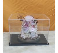 Boîte D'affichage Acrylique Transparente CEET, Vitrine Anti Poussière Multifonctionnelle D'affichage D'objets avec Base Epaissie (11x6.3x8inch/28X16X20cm)