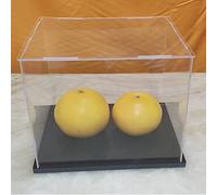 Boîte D'affichage Acrylique Transparente, Vitrine Anti Poussière Multifonctionnelle D'affichage D'objets avec Base Epaissie (20x8x10inch/50x20x25cm)