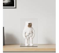 Boîte d'Affichage Transparente, Vitrine en Acrylique, Boîte de Présentation, Boîte de Rangement pour Collections Jouets Bijoux, 22x18x35 cm Acrylique