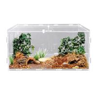Boîte d'alimentation en acrylique pour reptiles, escargots, terrariums, reptiles, terrariums, caisses de transport, pour tortues d'eau, araignées, cancers ermites, hamsters, lézards