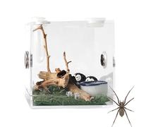 Boîte d'alimentation pour insectes - Terrarium à reptiles en acrylique transparent | Récipient de reproduction ventilé pour petits animaux de compagnie, tarentule, gecko, ermite, Mantis, Insecte de