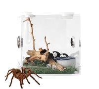 Boîte d'alimentation Transparente en Acrylique pour Reptiles avec Design Anti-Fuite et Trous d' en métal | Boîte de visualisation - pour araignées, grillons, escargots, Bernard-ermite