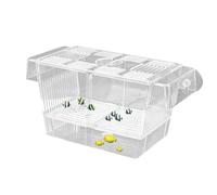 Boîte d'apparition en acrylique pour piscines d'élevage d'aquarium, boîte adaptative pour poissons attaquants | Caisse de poitrine en acrylique pour bébés poissons, crevettes, poissons clown, guppys