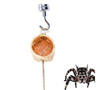 Boîte d'araignée - Récipient en résine, abri, mini vivarium | Cage d'araignée portable avec corde naturelle, habitat respirant pour petits animaux pour le camping en plein air, table de jardin, Dis