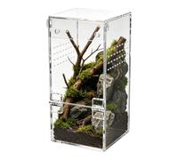 Boîte d'araignée - Terrarium en acrylique | Boîte d'élevage d'araignées | Fermeture magnétique | Cage à insectes ventilation | Boîte d'élevage de geckos, millepieds, asselles, protection des animaux