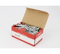 Boite de 100 chevilles à frapper polyamide 6X45mm