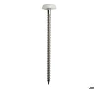 Boîte de 100 Pointes annelées inox A4 ACTON - tête bombée PVC - 50 x 2.5mm - 647882 5X50CDT100P