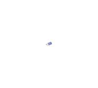 Boîte de 12 craies forestières 120 x 12 blanches - - L4870001