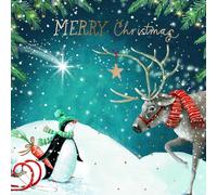 Boîte de 20 cartes de Noël caritatives - British Heart Foundation, NSPCC, Marie Curie, Alzheimer's Society, Parkinson's UK et Age UK - Pingouin, étoiles et cerf - 10 de chacun des 2 motifs