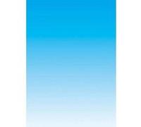 Boîte de 250 feuilles papier couleur copieur, laser, jet d’encre recto/verso 80 gr A4 bleu G