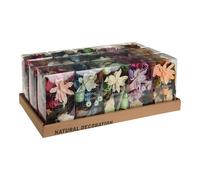 Boîte de 250 gr de parfums floraux odorants et d'échantillons various