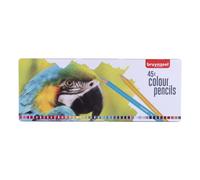 Boîte de 45 crayons de couleur Bruynzeel Perroquet