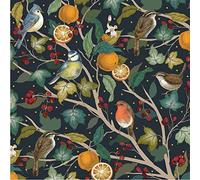 Boîte de cartes de Noël rouge-gorges et oranges 8 cartes de Noël gaufrées 16 x 16 cm