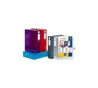 Viquel - Lot de 6 boites de classement en plastique personnalisable - Lot 6 boites à archive grande capacité - Boites de rangement assorties - Dos de 8 cm - Fabriqué en France