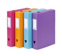 Boîte de classement plastique VIQUEL CLASS DOC - Dos 6 cm - couleurs assorties