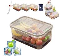 Boîte de conservation de glace d'extérieur avec poche de glace, boîte à goûter réfrigérée double couche avec couvercle et poignée, boîte de rangement avec séparateur de drainage pour camping