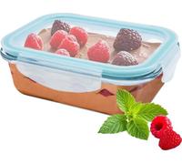 Boîte de conservation en verre avec couvercle en plastique étanche - 630 ml - Meal Prep boîte alimentaire pour four et micro-ondes