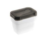 Boîte de conservation 'fredo fresh', 2x 2,0 L