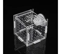 Boîte de culture en acrylique transparent pour poissons d'aquarium - Avec ventouse - Pour crevettes nouveau-nées