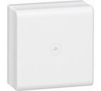 Boite De Dérivation 110 X 110 X 50 Mm Pour Moulure - Legrand Dlplus 030326 Blanc G