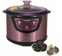 Boîte de fermentation électrique pour ail - 6 l - Fermenteur d'ail noir - Cuiseur à ail multi-gousse d'ail - Pot de ferment pour fermenteur d'ail/natto/kimchi/pâte/vin/riz
